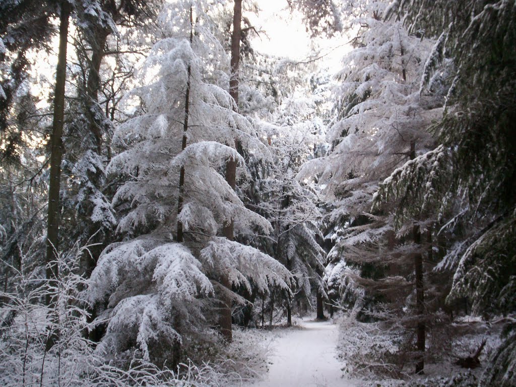 Snow in Emmerdennen by gypsytravel