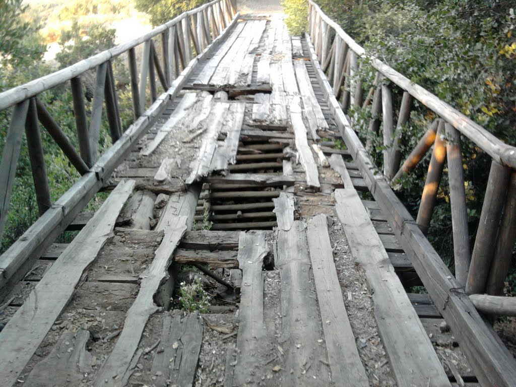 Puente al Sendero de Chile by luis.monroy