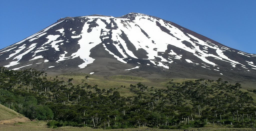 Volcán Lonquimay (cara norte) by Mono Andes