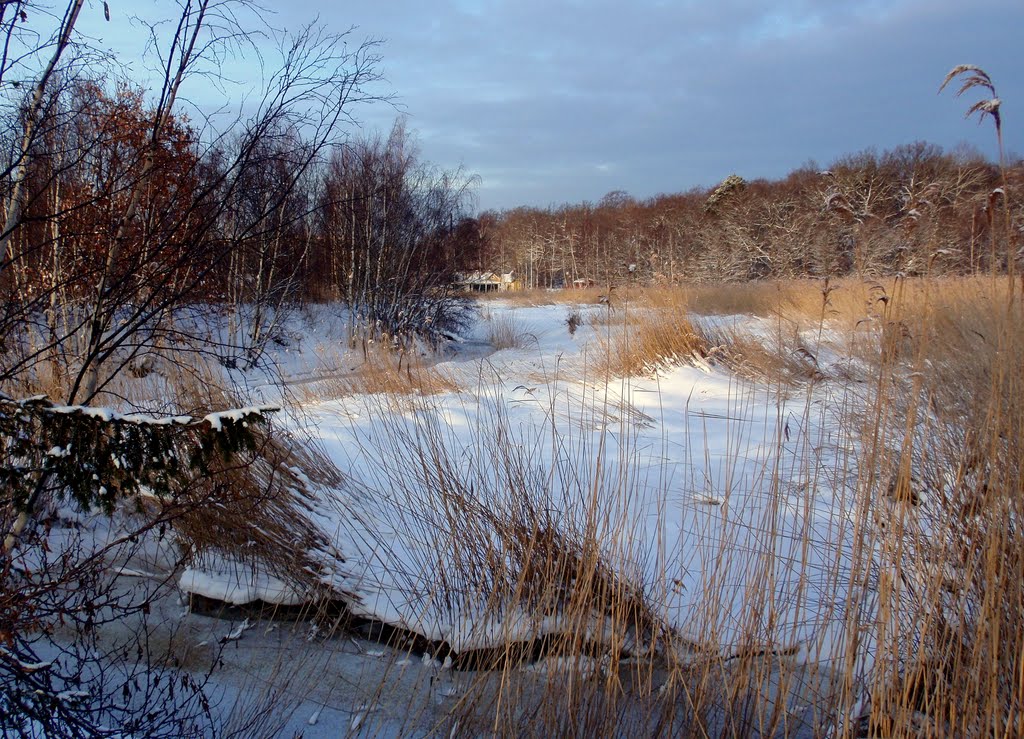 A walk around Gullberna park 3,.. by SuMaKa