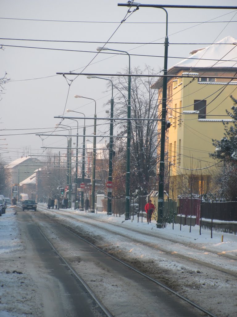 Timișoara-Linia lui 8 str. 1 Decembrie-19Dec2010 by Popescu Vicentiu