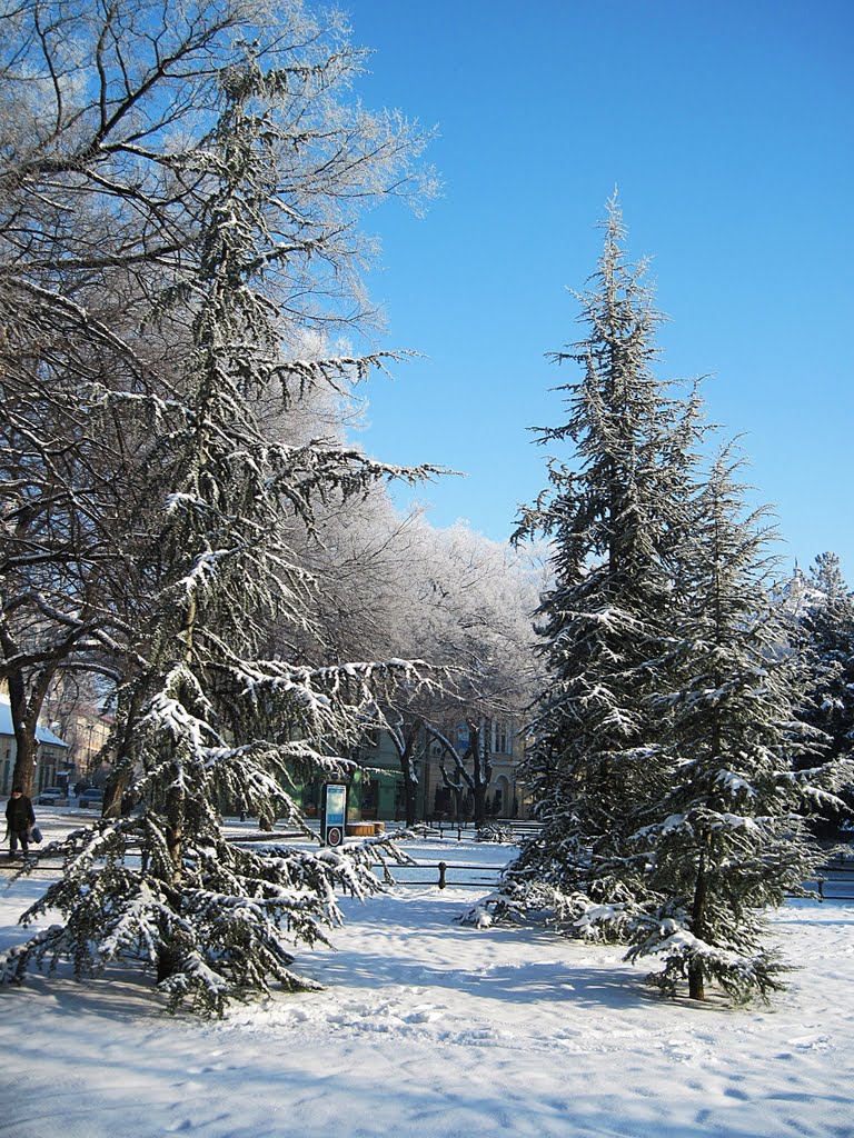 Winter in Subotica - Zima u Subotici by Станковић