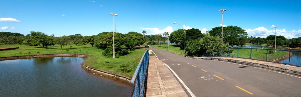 Parque da Cidade - Ponte by terra.bruno