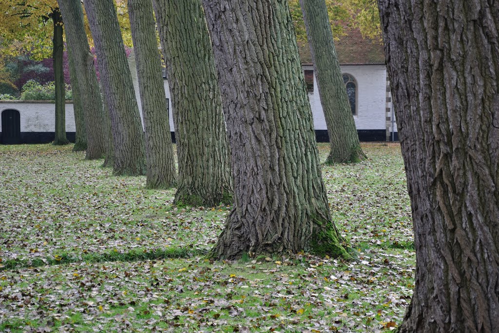 Beguinage - Brugge, Belgium - November 2, 2010 by Giorgio Galeotti