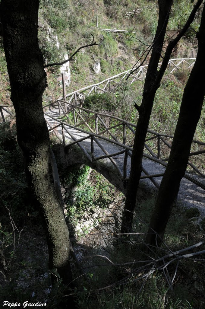 Valle delle ferriere by Giuseppe Gaudino