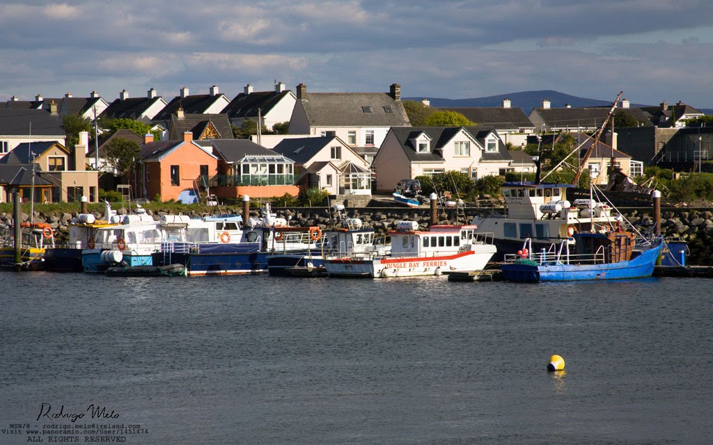 Dingle Harbour by ® Rodrigo Melo - Irish lad