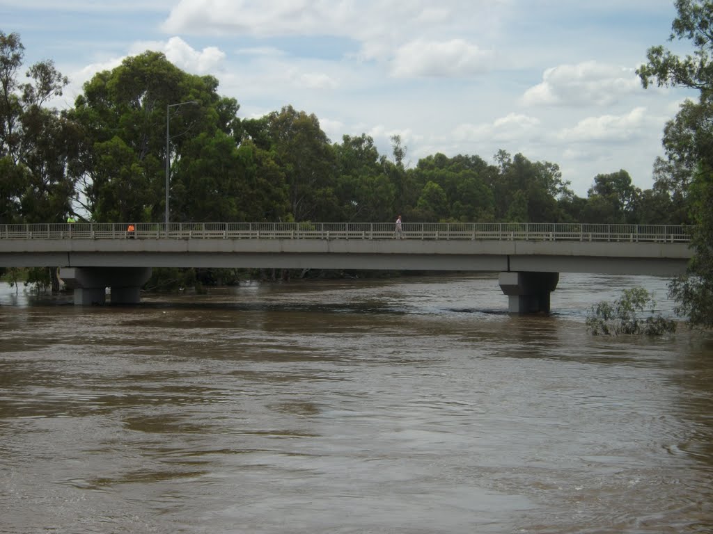 December 2010 flloods. Wiradjuri bridge. by johncartwright302