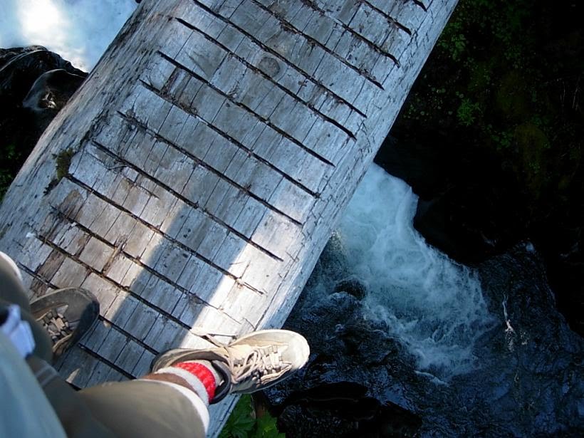 Upper Sol Duc River "Bridge" by wespartch