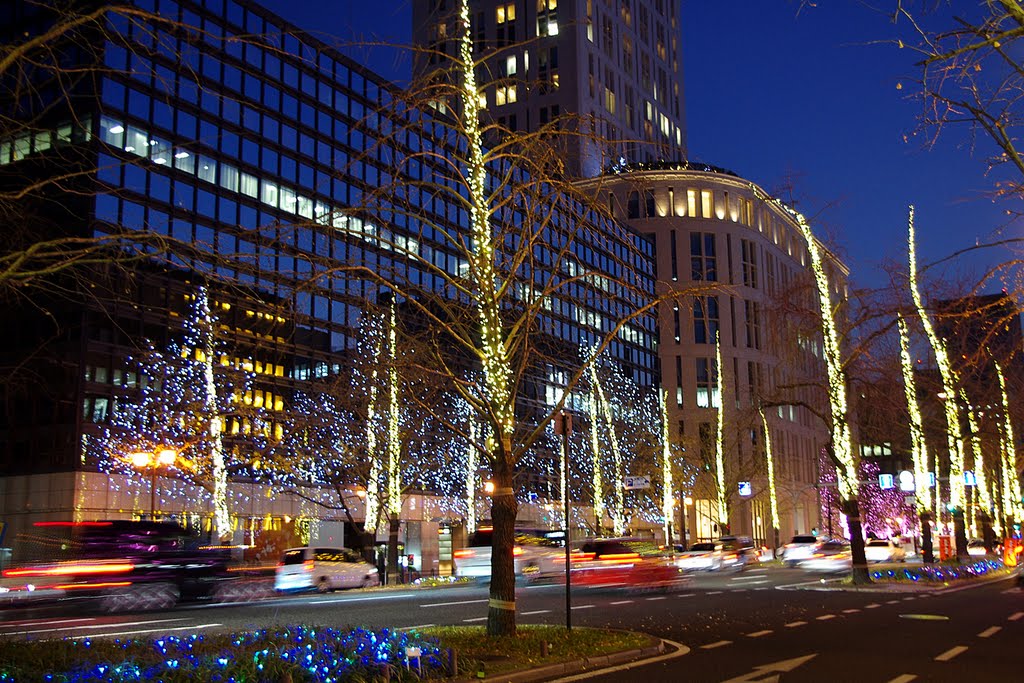 大阪 御堂筋 Midosuji Avenue, Osaka by garden-cook.com