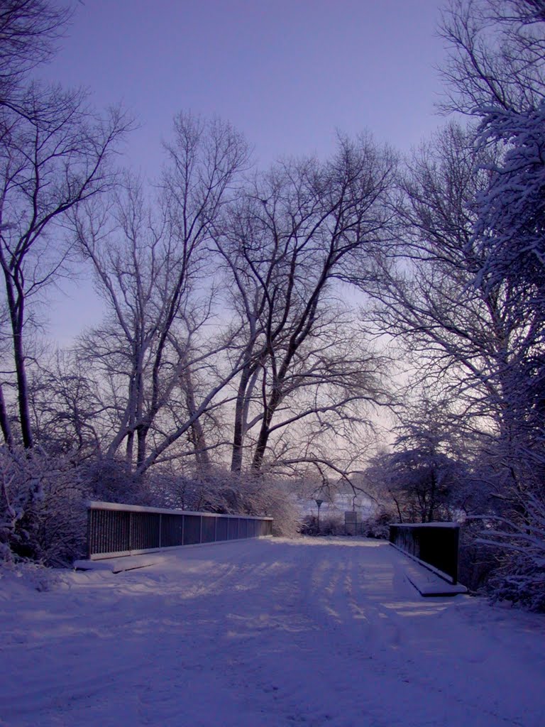 Völlig verschneit by Barbara Wenzel-Winter