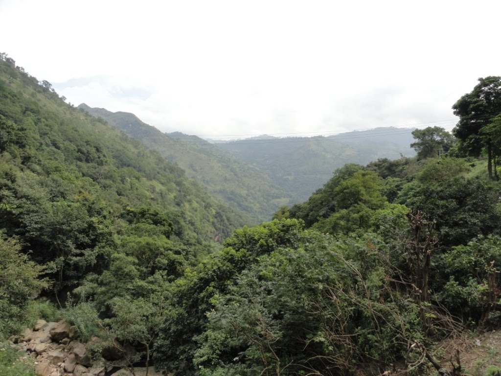 Badulla, Sri Lanka by Senanayaka Bandara