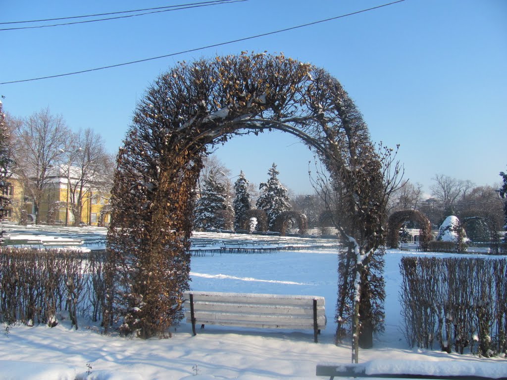 Timișoara-Parcul Rozelor poarta din pom-19Dec2010 by Popescu Vicentiu