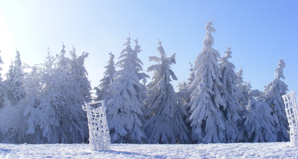 Thüringer Wald by Lotte 74