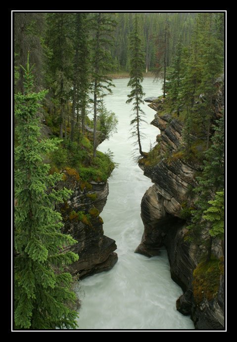 Río Athabaska - Athabaska river by J.Ernesto Ortiz Razo