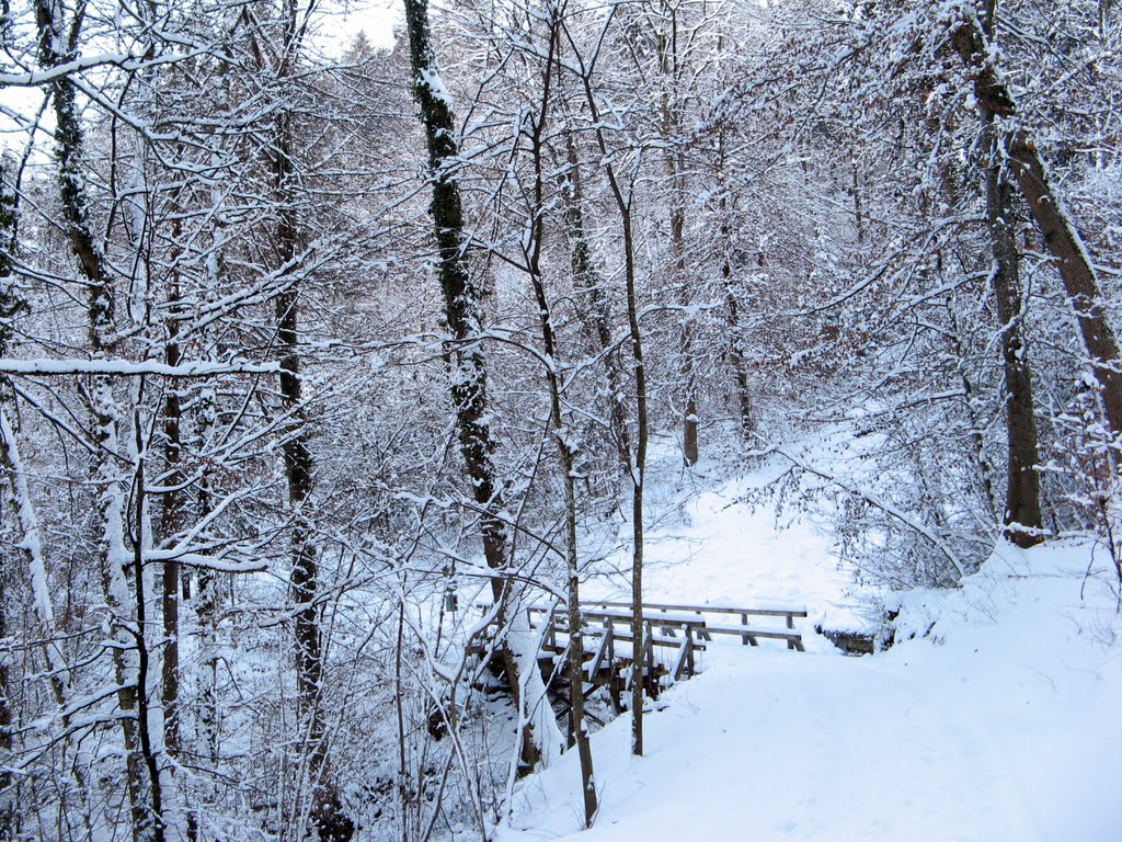 Uetliberg in inverno by Claudio Pedrazzi