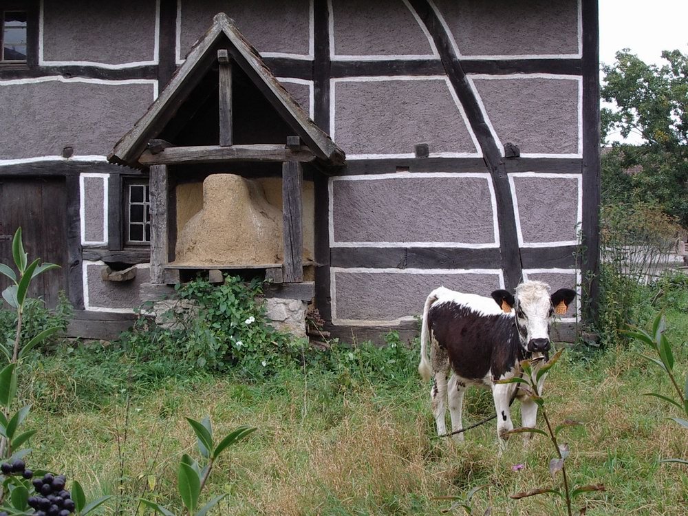 Ecomusée d'Alsace, Ungersheim, France by florival_fr