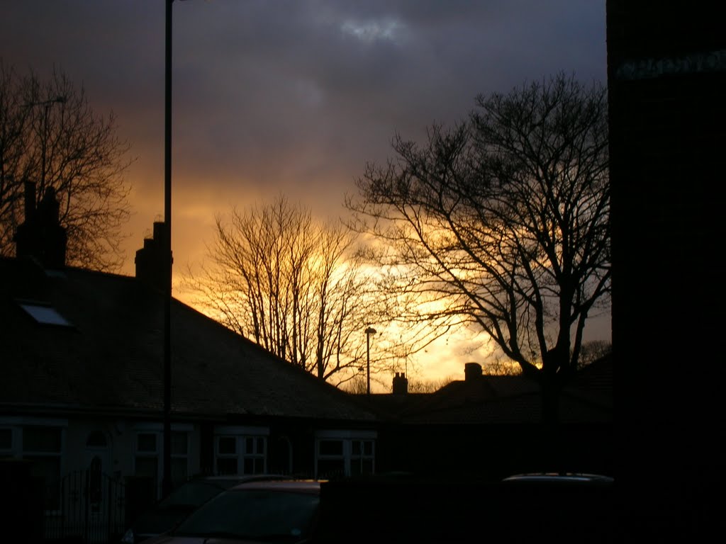 Sunset over Mount Road by lisa coates