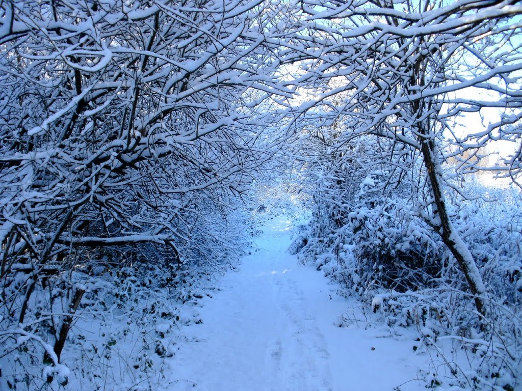 Veel sneeuw in Broek De Naeyer! (2010-12) (4) by Skur