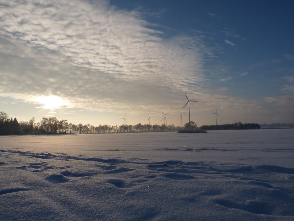 Schneeglitzern in der Abendsonne by nighdy1