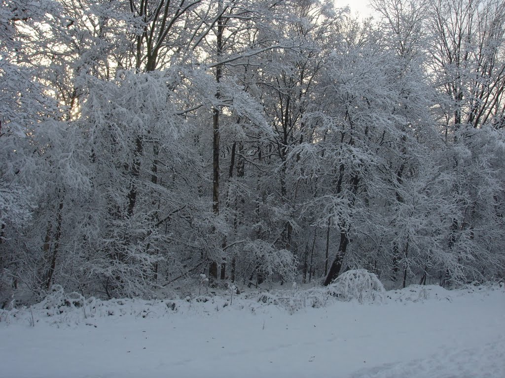 Snow at Het Leen by thijsken