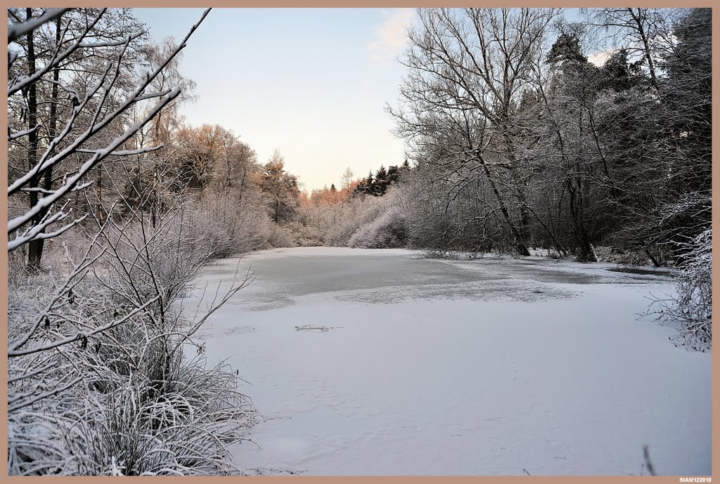 Hummelo; Balenvijver by Stichting Achterhoek weer mooi