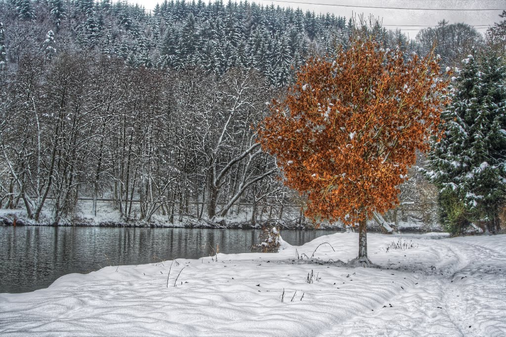 Sieg im Winter by Hermann-Josef Ammel