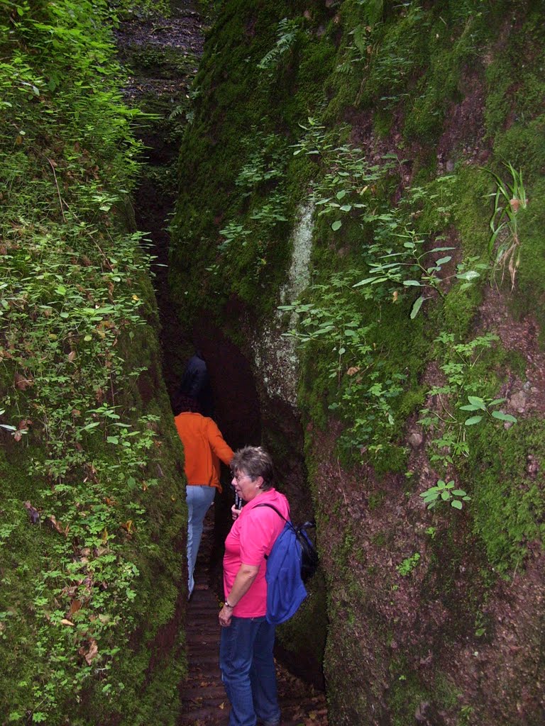 Durch die Drachenschlucht by W. HAUSER