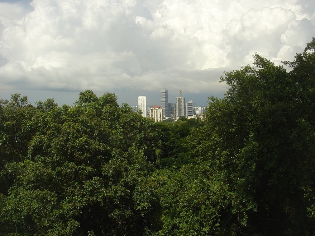 Mount Faber, view towards the Alexandra Road high rise Cluster - Singapore by Paul HART