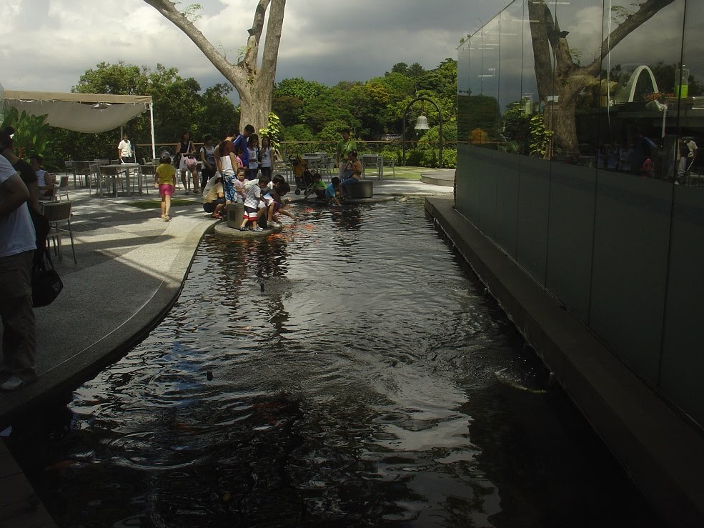 Koi pond @ Mount Faber - Singapore by Paul HART