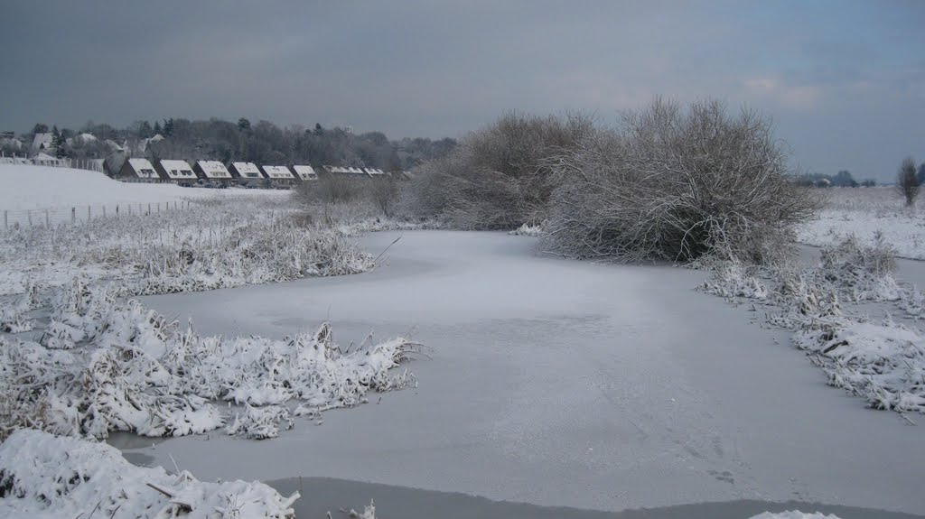 Winterlandscape Floodplains by 27 Ants