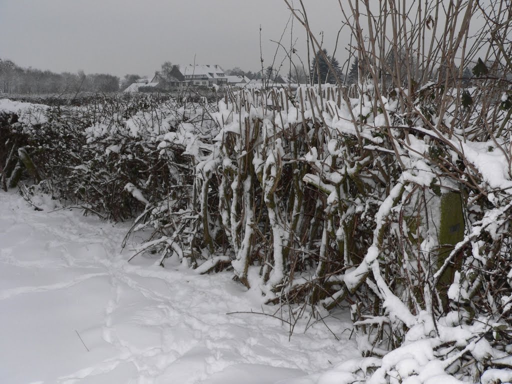 Grenspaal 252 .. de winter-versie .. blijft echter goed verstoken ... by walterskrutser