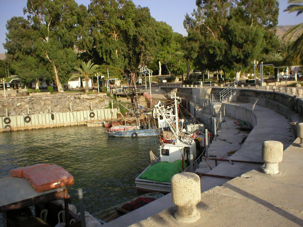 Ein Gev dock by Golan Rock