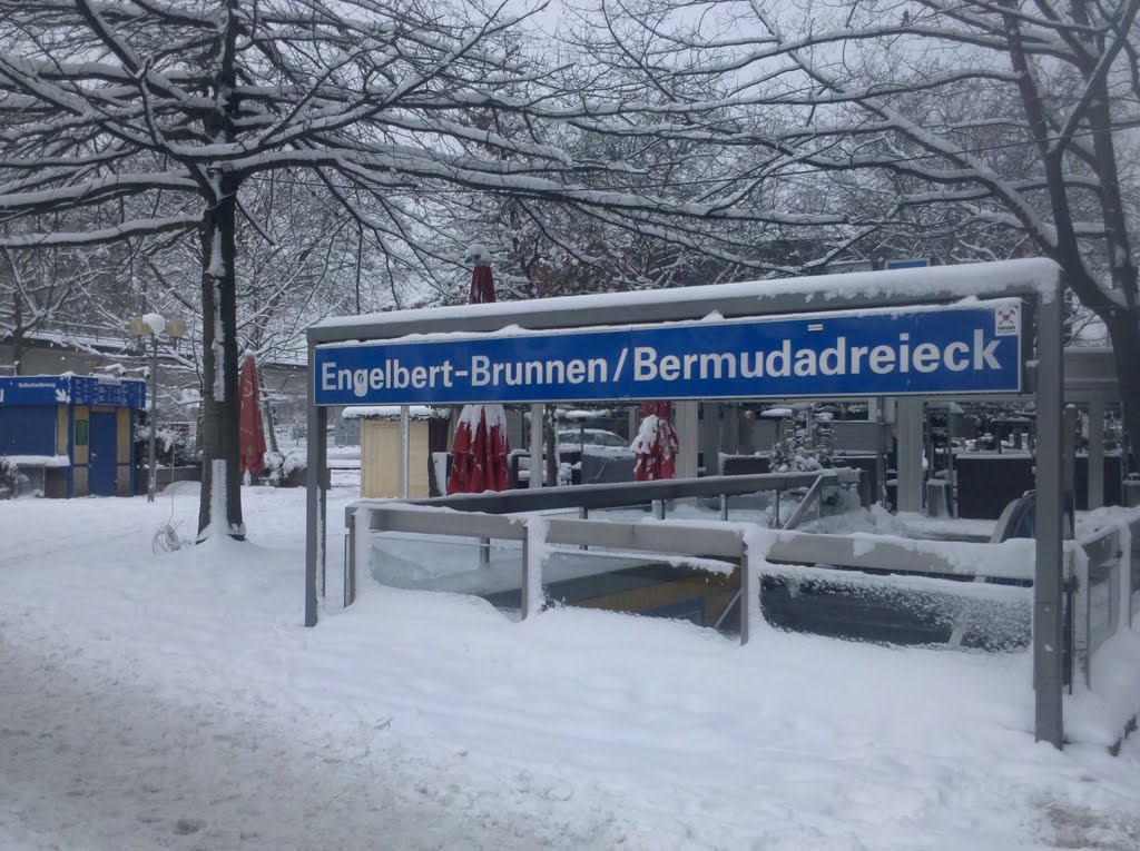 Bermudadreieck im Winter by wam kat