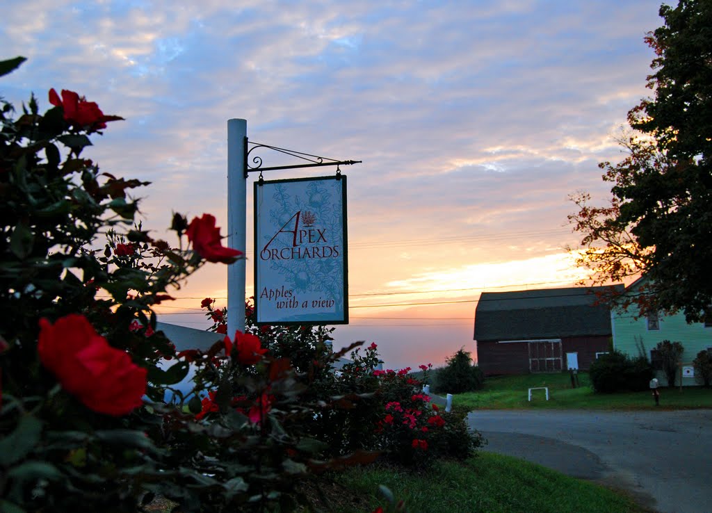 Sunrise over Apex Orchard, Shelburne, Massachusetts by Reflections by Erika