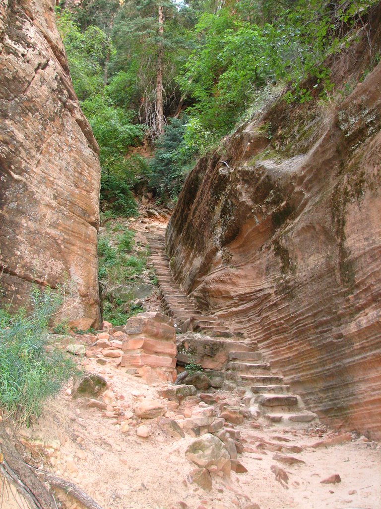 Steps to Hidden Canyon by marylives