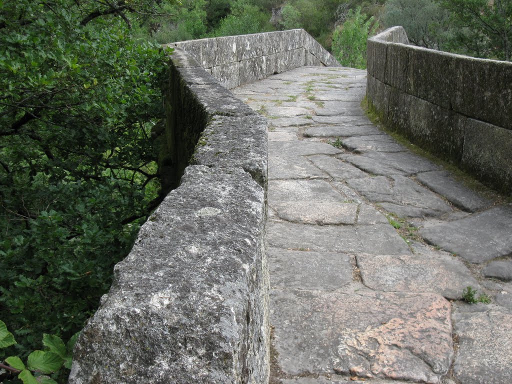 Ponte da Misarela by Rogério Santos