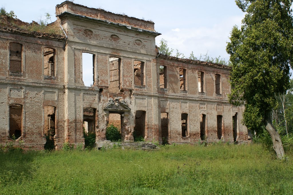 Schloss Finckenstein (Kamieniec) - Ostpreußen by Condor66