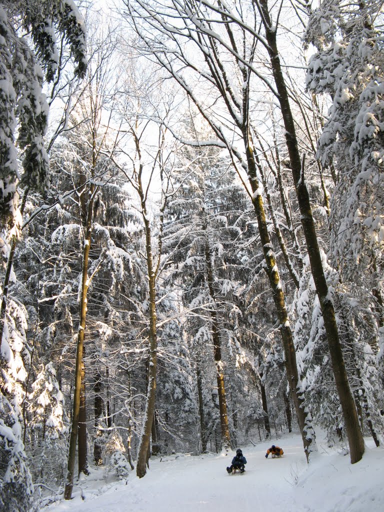 La pista per slitte dell'Uetliberg by Claudio Pedrazzi