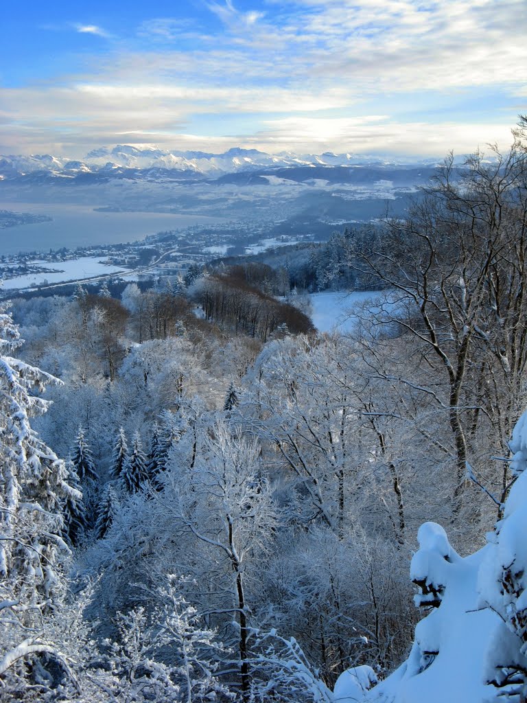 Il lago di Zurigo dalla cima dell'Uetliberg, vista invernale by Claudio Pedrazzi