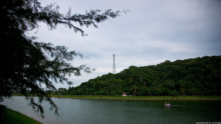 Lake and GSM tower by Tim Arbaev