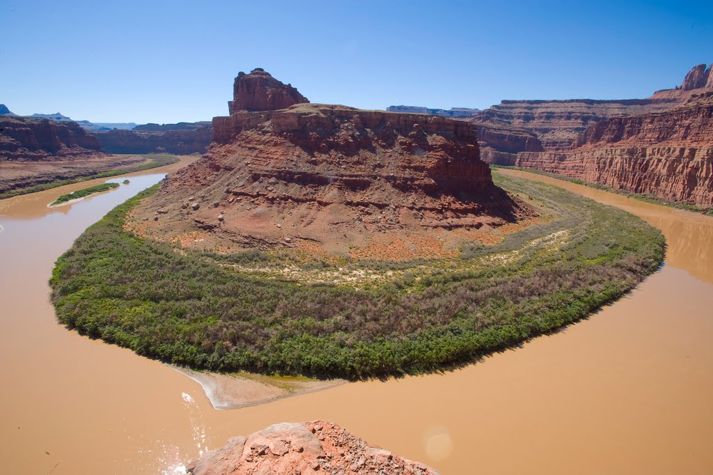 Colorado River Gooseneck by Tom C