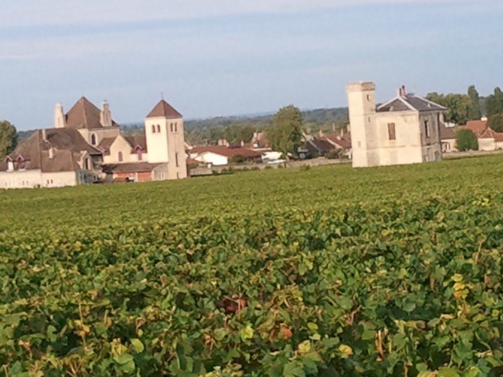 Winery at Clos de Vougeot by BetinaM