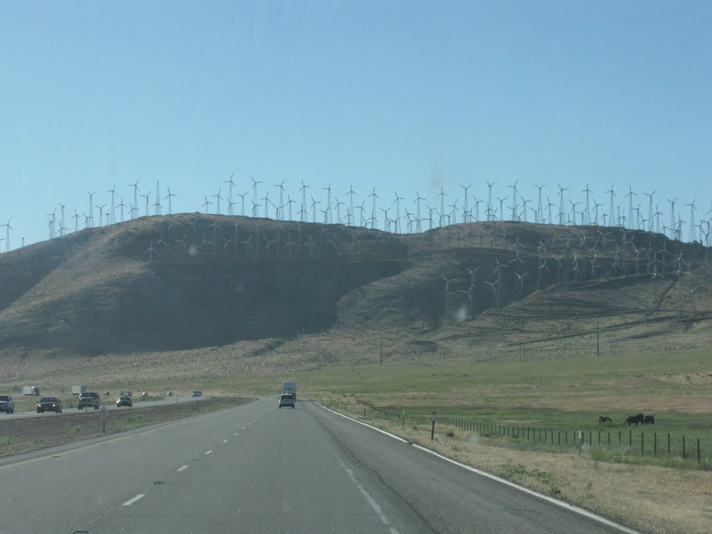 Windmills! by traveler101