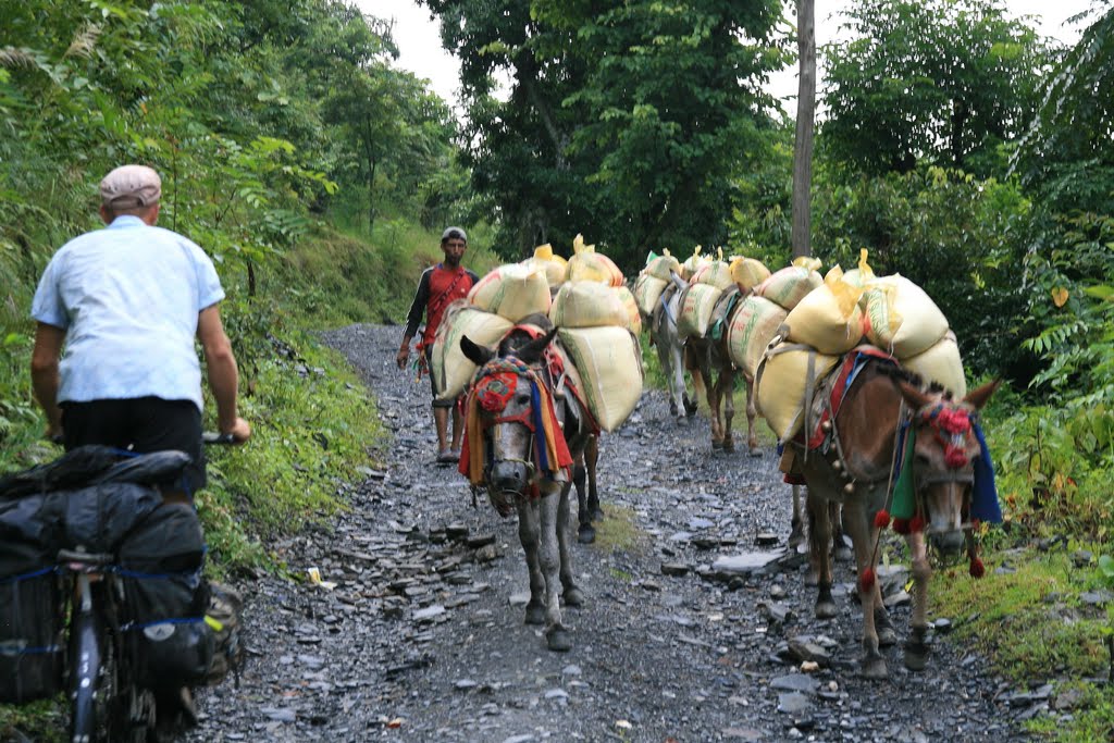 BENI - DARBANG road by JacquesAlexRaymond.D