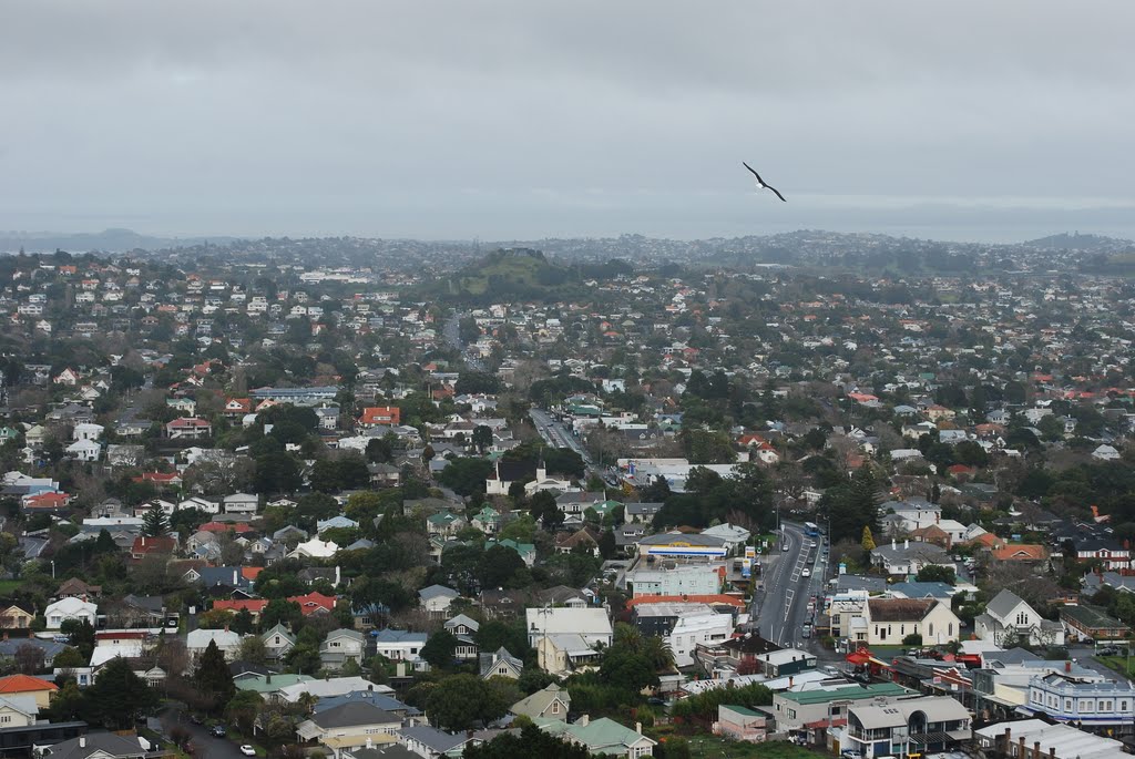 Auckland: city and volcanoes 2 by Csillag Gabor