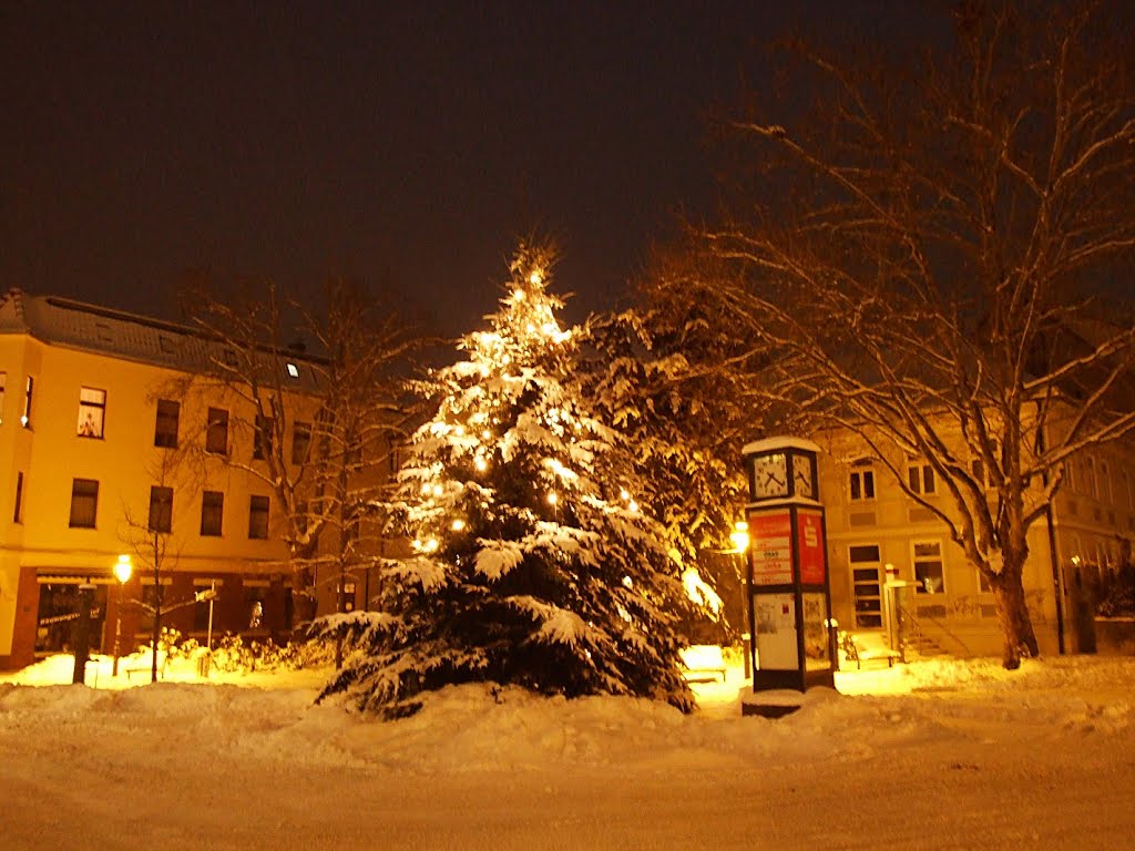 Burg, Weihnachtsbaum auf dem Magdalenenplatz by minka1991