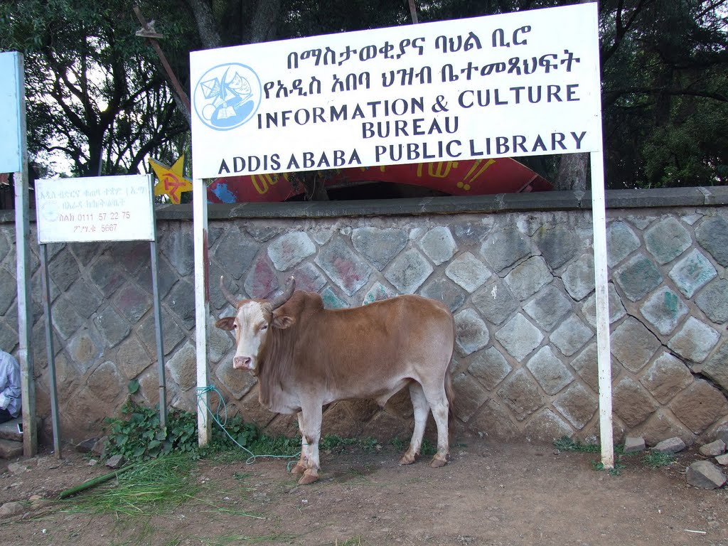 Addis Abeba Public Library by Mop