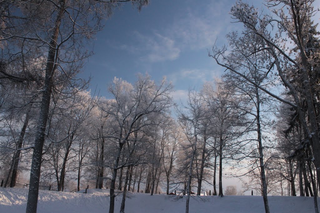 Paide, Järva County, Estonia by Riigel