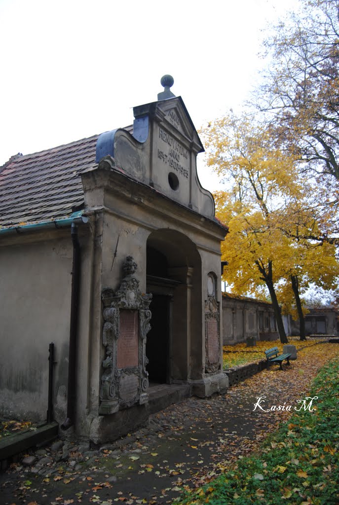 Lapidarium by mmiilleesskkaa