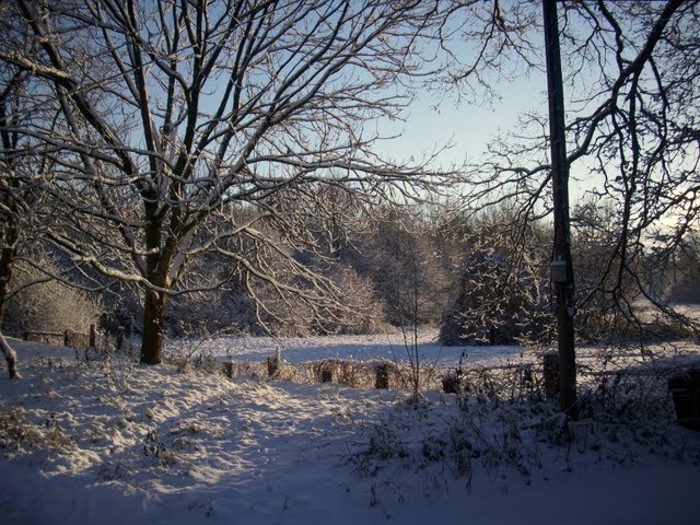 Winter by Heinz.Bock